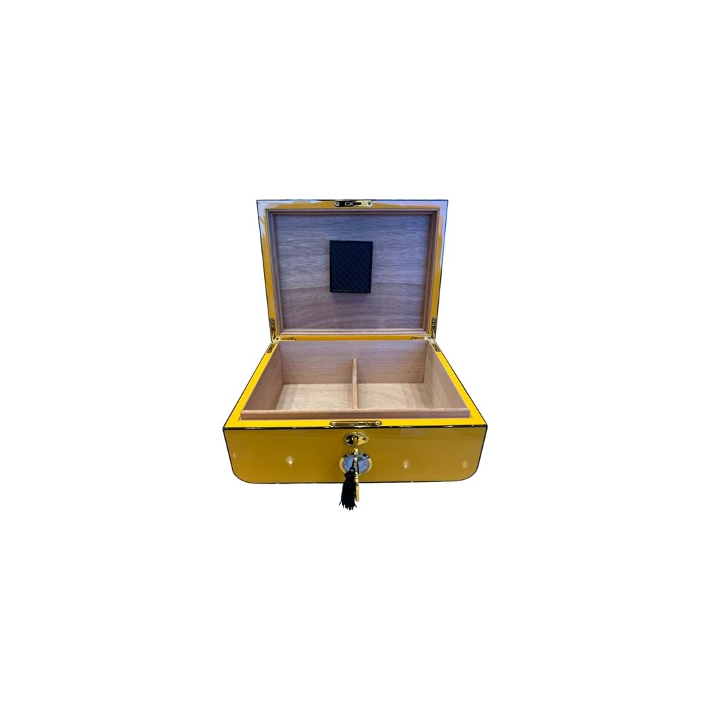 MYON PARİS RACİNG EDİTİON KARDON DİZAYN HUMİDOR SARI 40