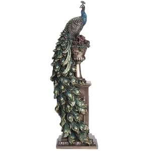 WISE VAZO ÜSTÜNDE TAVUSKUŞU