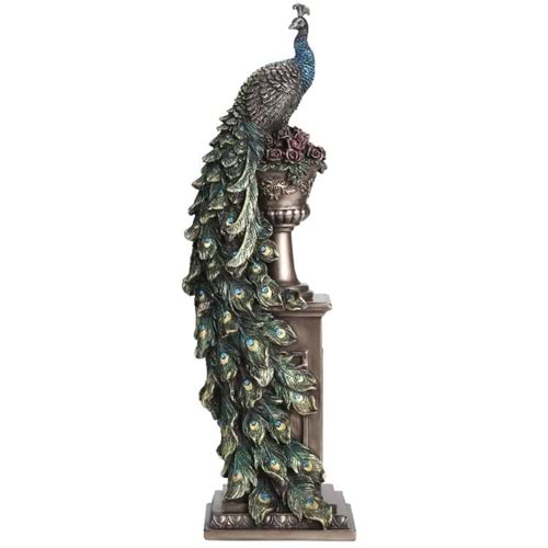 WISE VAZO ÜSTÜNDE TAVUSKUŞU